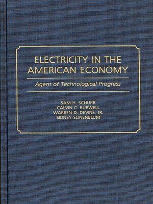 cover image of Electricity in the American Economy